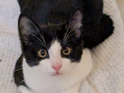 ARTHUR (M / 08-2025)