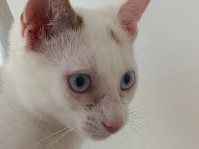 AUBE (F / 05-2025)