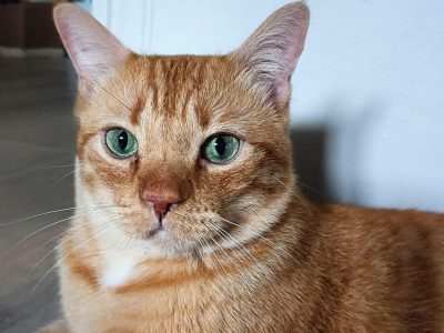 DOUDOU (M / 2017)