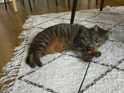 KISSA (F / 06-2021)