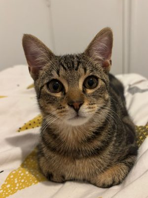 ALPHA-OMEGA (M / 05-2025)