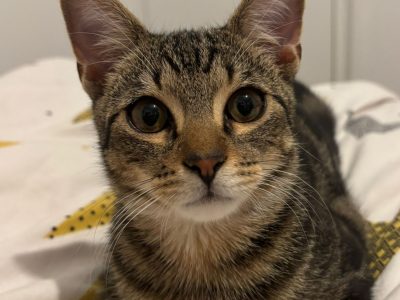 ALPHA-OMEGA (M / 05-2025)