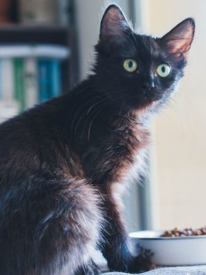 AZOHRA (F / 05-2025)