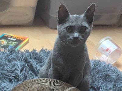 AZERTY  (F / 05-2025)