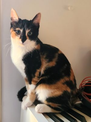 PEC 20250920 AZALEE (1)