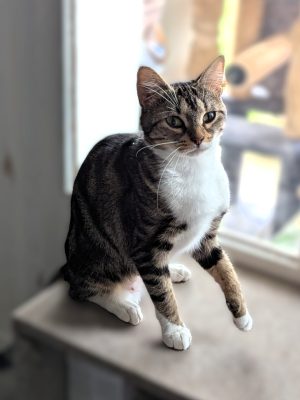 NAYELI (F / 01-2025)