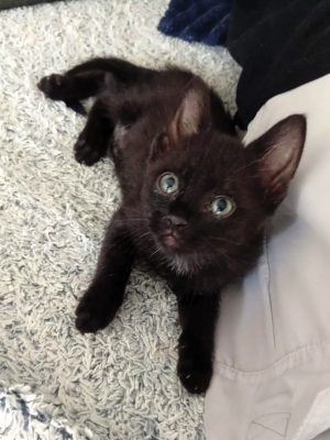 BELLA (F/04-2026)