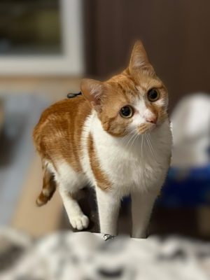 TOUSSY (F / 01-2025)