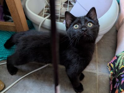 BLIZZY (F / 05-2026)