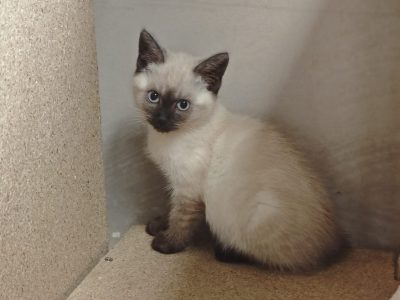 GINA (F / 04-2026)