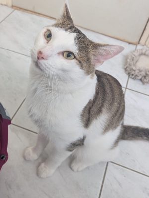 SAMY (M / 08-2023)