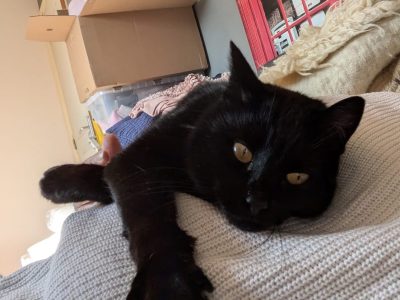 Pepsi (F / 01-2020)