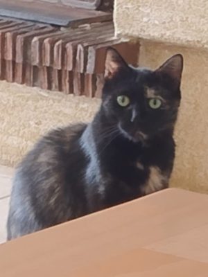 TIANA (F /01-2024)
