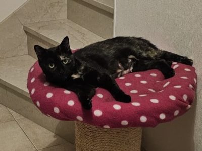 TIANA (F / 01-2024)