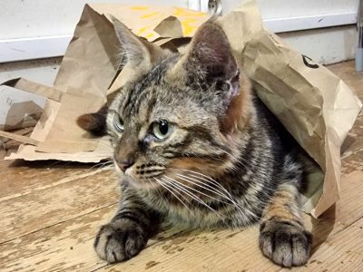 WINNIE (F / 01-2025)