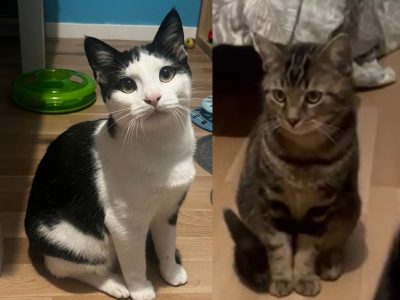 ARTUS & ARAGON (M / 06-25)